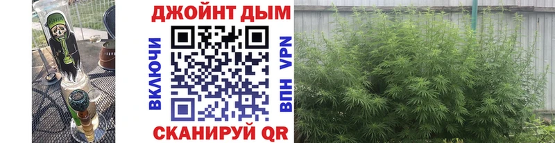 Конопля тримм  Покачи 